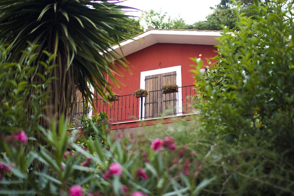 B&B Il Giardino Delle Camelie ปาเลสตรินา ภายนอก รูปภาพ