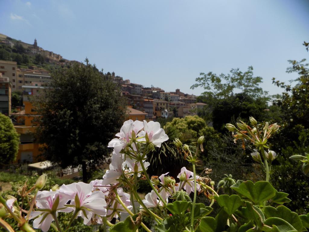 B&B Il Giardino Delle Camelie ปาเลสตรินา ภายนอก รูปภาพ
