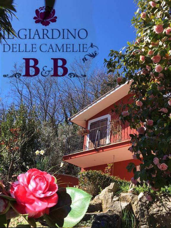 B&B Il Giardino Delle Camelie ปาเลสตรินา ภายนอก รูปภาพ