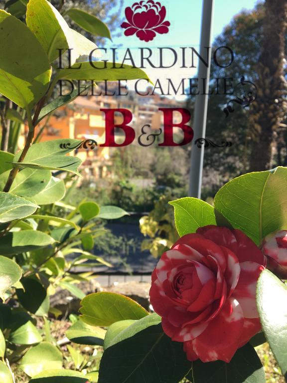 B&B Il Giardino Delle Camelie ปาเลสตรินา ภายนอก รูปภาพ