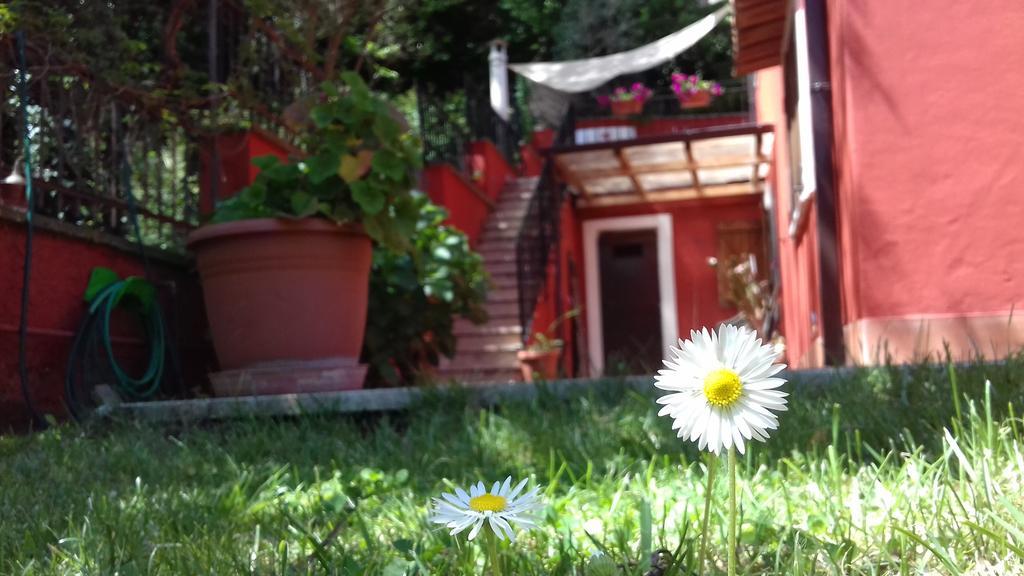 B&B Il Giardino Delle Camelie ปาเลสตรินา ภายนอก รูปภาพ