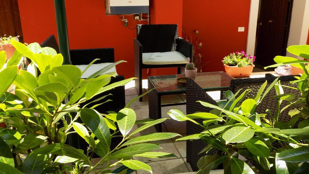 B&B Il Giardino Delle Camelie ปาเลสตรินา ภายนอก รูปภาพ