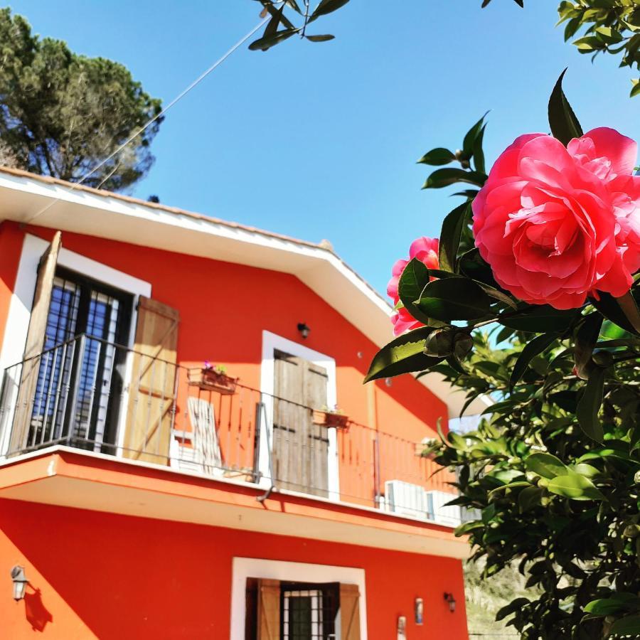 B&B Il Giardino Delle Camelie ปาเลสตรินา ภายนอก รูปภาพ